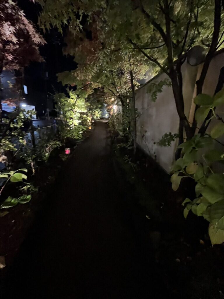 仙台市　梅の花